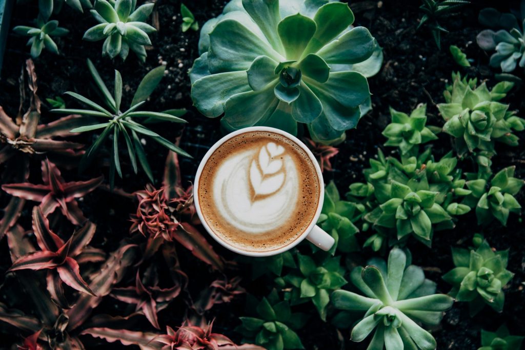 Botanical Coffee Decoration