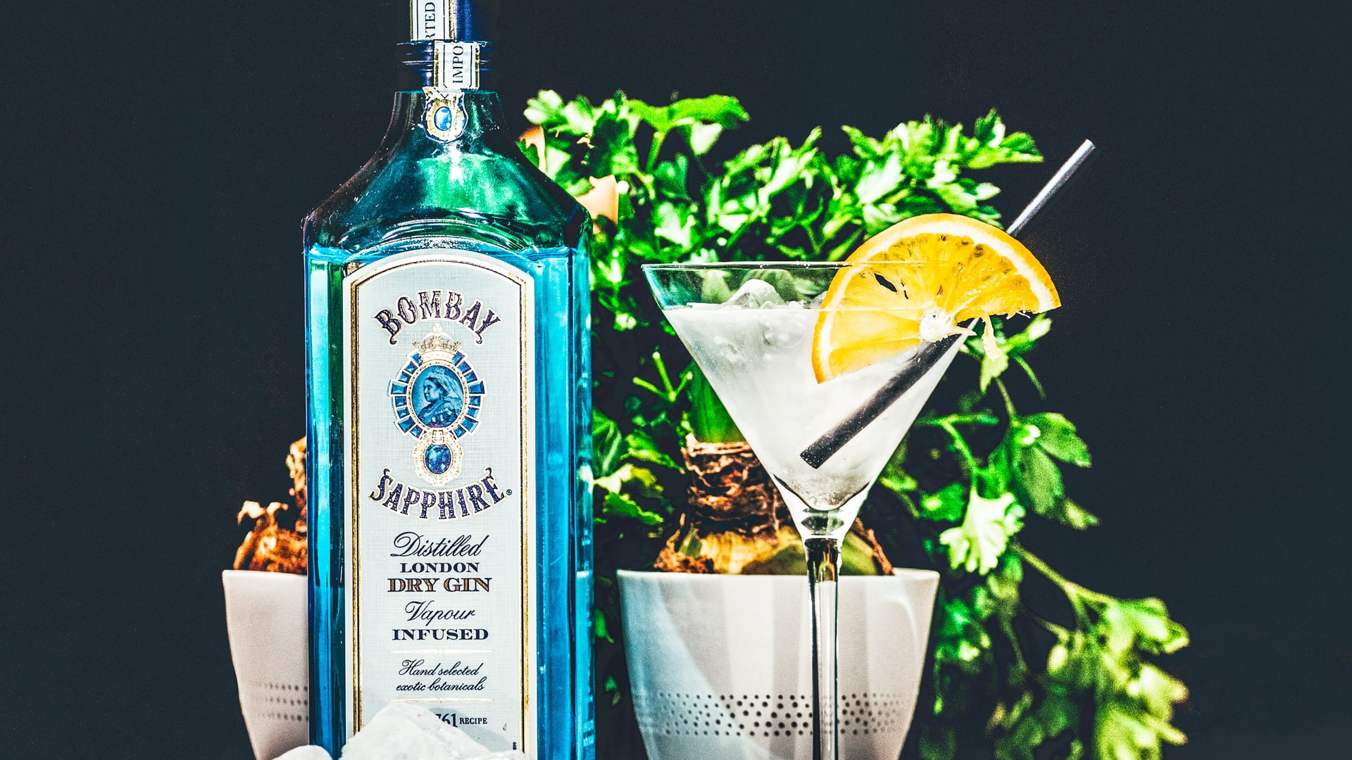 Different Types of Gin Explained - A Complete Gin Guide